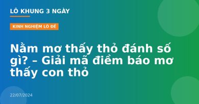 Nằm mơ thấy thỏ đánh số gì? – Giải mã điềm báo mơ thấy con thỏ
