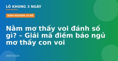 Nằm mơ thấy voi đánh số gì? – Giải mã điềm báo ngủ mơ thấy con voi