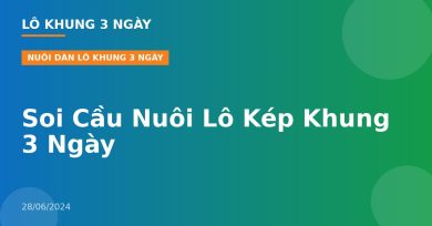 Soi Cầu Nuôi Lô Kép Khung 3 Ngày